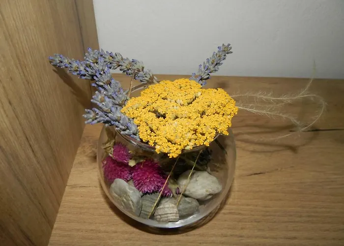 Apartment Slavica