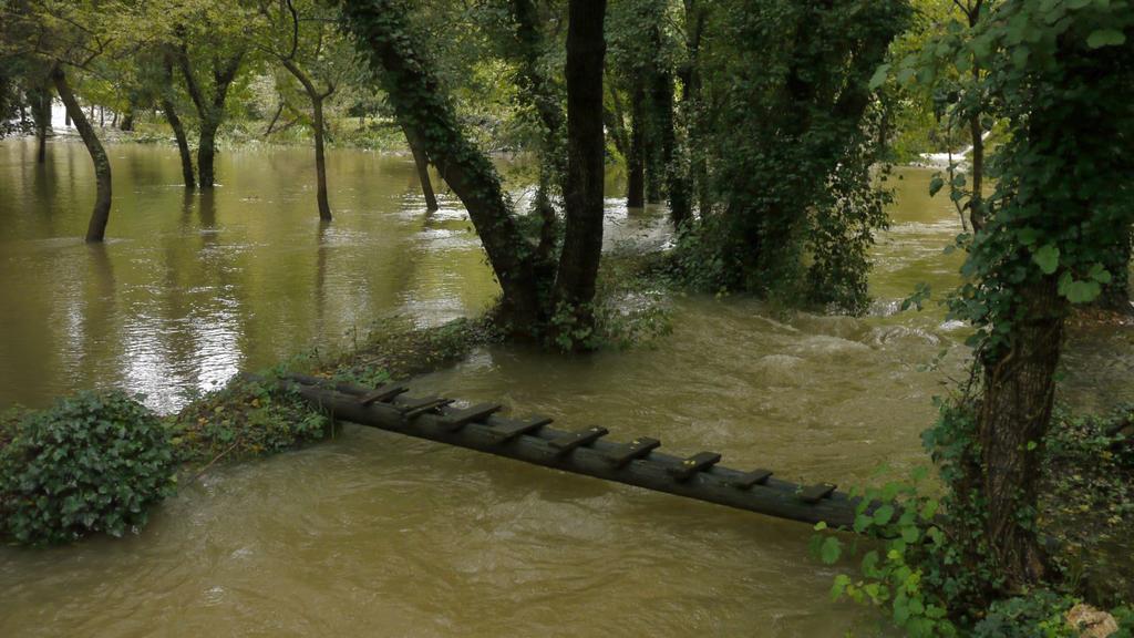 Slavica * Lozovac