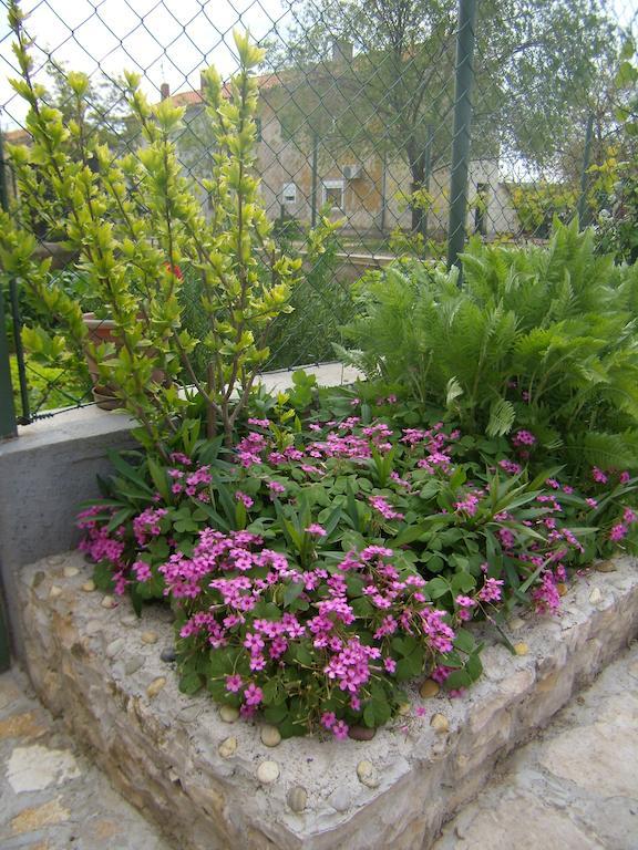 Slavica Apartment Lozovac