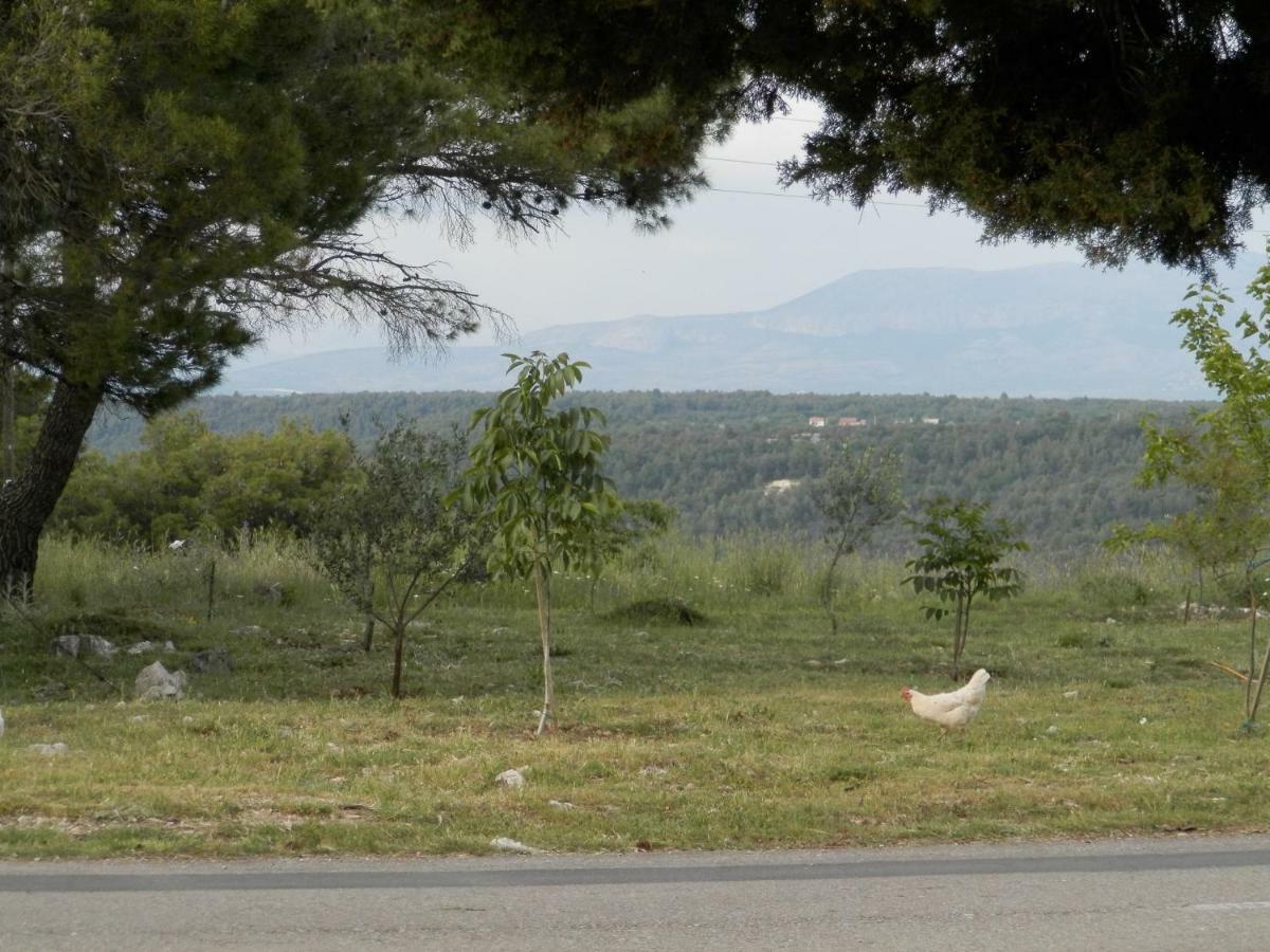 Slavica Appartement Lozovac